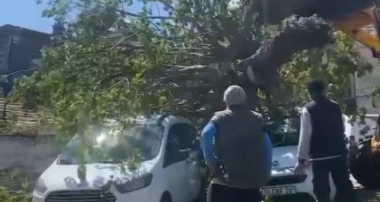 Nature's Fury: Destruction Unleashed