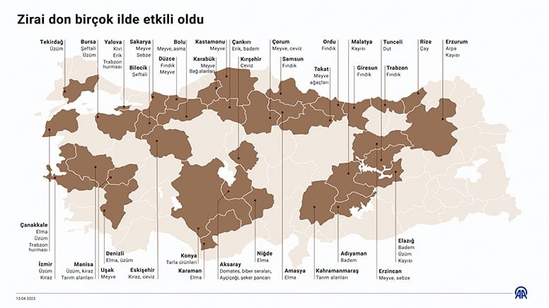 30 Yılın En Büyük Tarımsal Krizi: Türkiye'nin Don Felaketi
