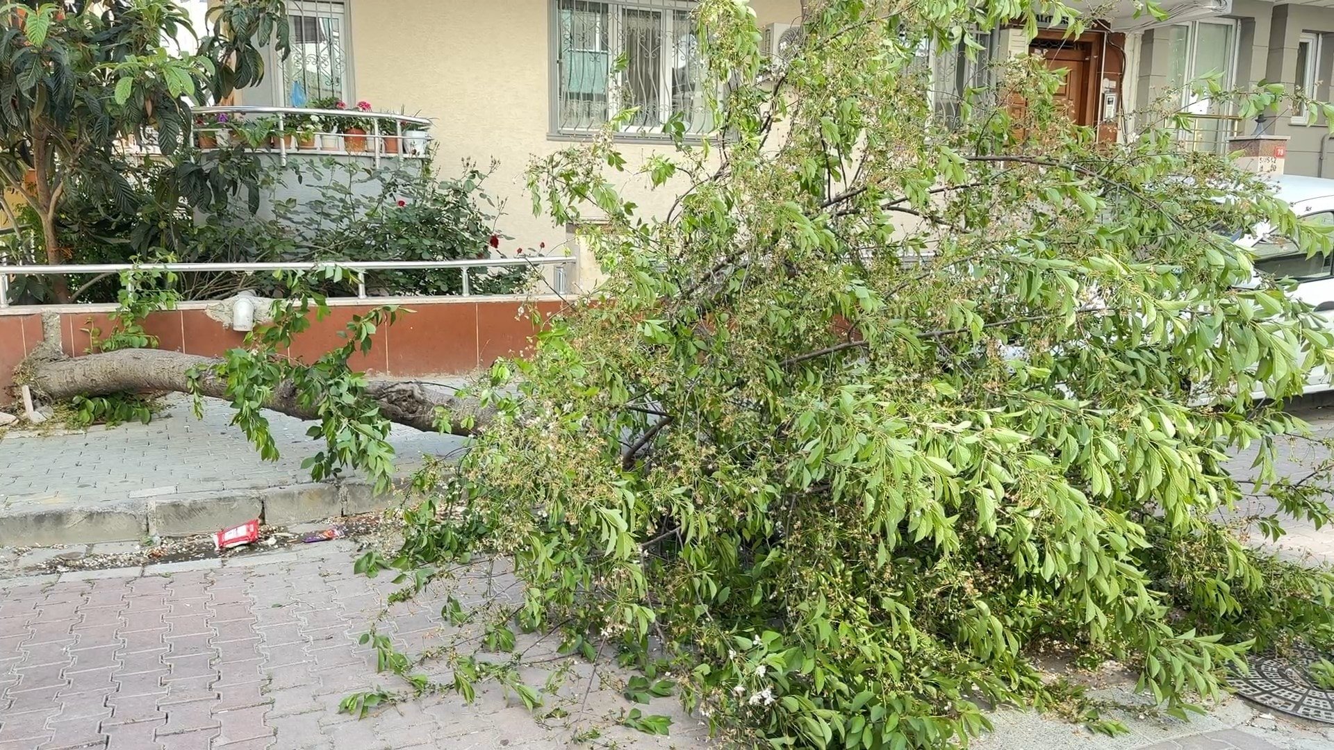 Turmoil in Turkey: A City Shaken by Nature's Wrath