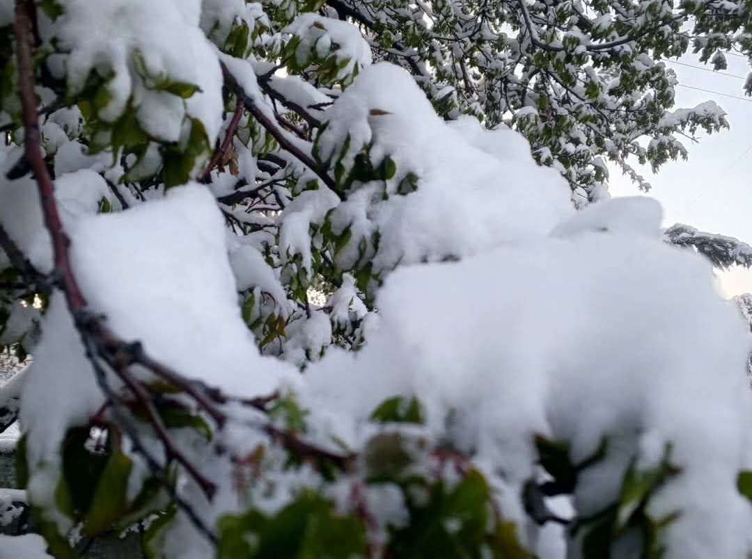 The Struggle of Farmers: Breaking the Chains of Agricultural Debt