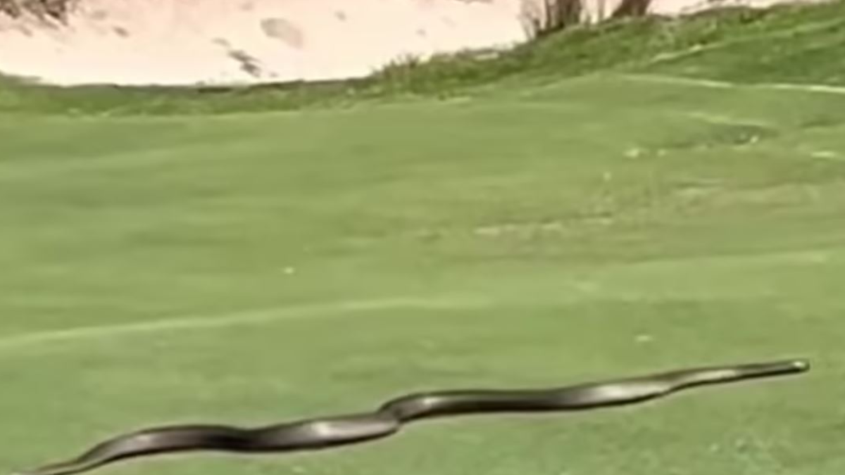 Unexpected Arrival: The Terrifying Encounter with a Giant Boy