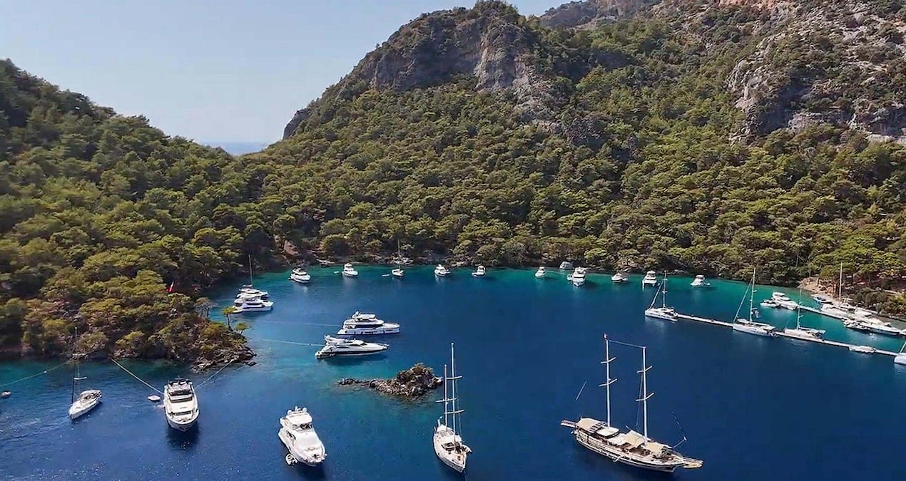 Tranquility of the Turtles in Göcek