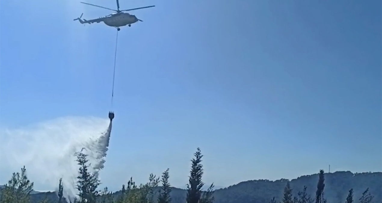 Wildfire Wreaks Havoc in Marmaris: 2 Hectares Engulfed in Flames