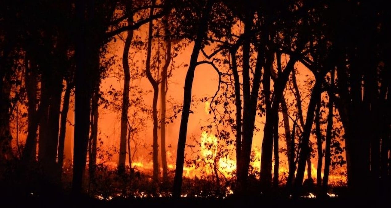 Efforts Persist in the Battle Against the Forest Fire in Izmir