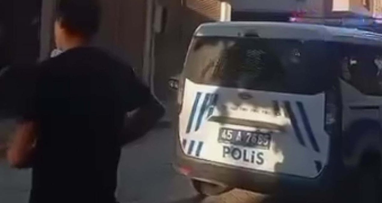 Sokak Kedisi Katili: Adaletin Peşinde