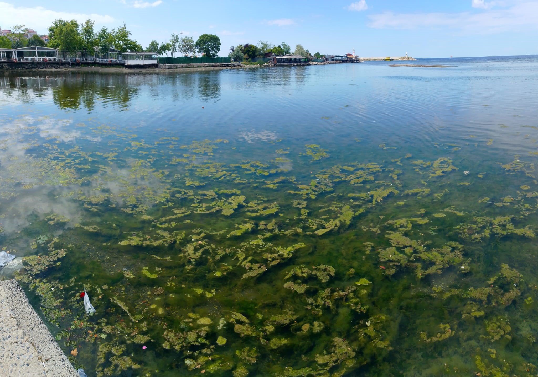 Istanbul: A Surreal Spiral of Disturbing Images